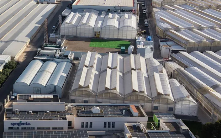 img-syngenta-gr.png